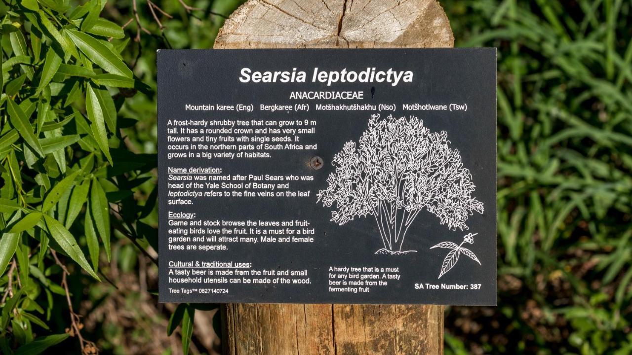 Iketla Lodge Ohrigstad 外观 照片
